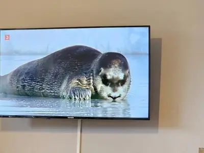 Ferienwohnung für 4 Personen (48 m²) in Cuxhaven 7/10
