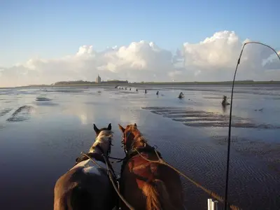 Ferienwohnung für 5 Personen (52 m²) in Cuxhaven 6/10