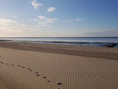 Ferienwohnung für 5 Personen (52 m²) in Cuxhaven 7/10