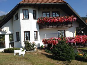 Ferienwohnung für 4 Personen (90 m²) in Dachsberg