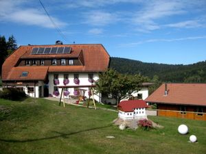 Ferienwohnung für 4 Personen (80 m²) in Dachsberg
