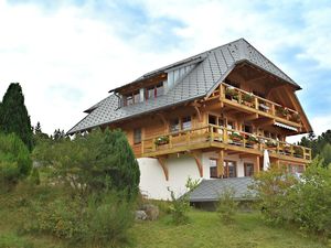 Ferienwohnung für 2 Personen (65 m&sup2;) in Dachsberg