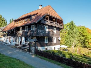 Ferienwohnung für 2 Personen (60 m²) in Dachsberg