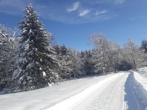 Ferienwohnung für 4 Personen (60 m²) in Dachsberg