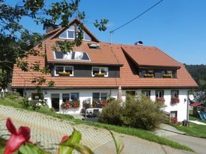 19500561-Ferienwohnung-5-Dachsberg-300x225-2