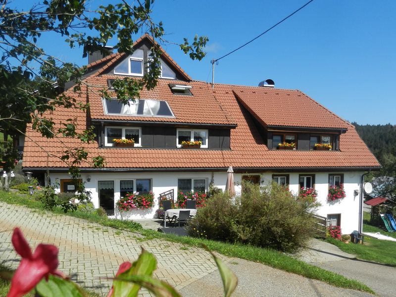 19500561-Ferienwohnung-5-Dachsberg-800x600-2