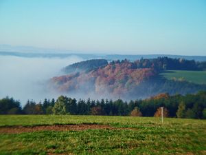 22235305-Ferienwohnung-4-Dachsberg-300x225-3