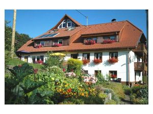 Ferienwohnung für 5 Personen (85 m²) in Dachsberg