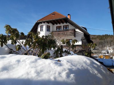 Ferienwohnung für 2 Personen (90 m²) in Dachsberg 3/10