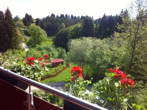 19501081-Ferienwohnung-4-Dachsberg-300x225-4