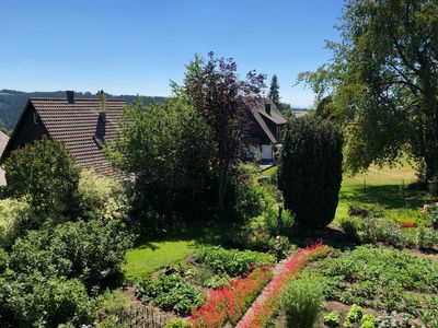 Garten 4