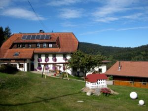 Ferienwohnung für 2 Personen (45 m²) in Dachsberg