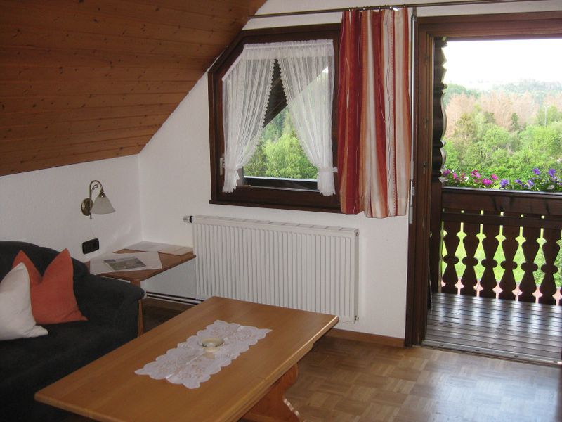 19055892-Ferienwohnung-4-Dachsberg-800x600-1