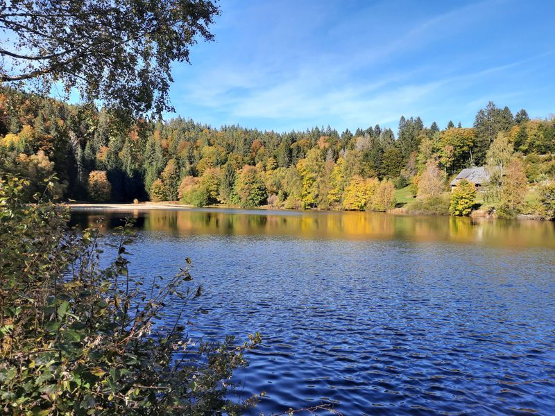 23461804-Ferienwohnung-4-Dachsberg-800x600-2