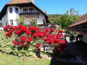 Ferienwohnung für 2 Personen (90 m²) in Dachsberg