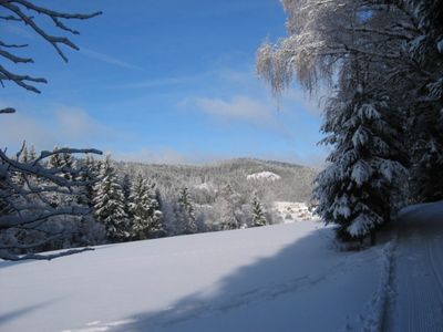 Winteridylle auf dem Dachsberg