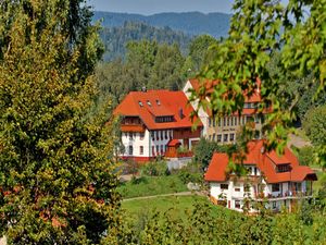 Ferienwohnung für 2 Personen (52 m&sup2;) in Dachsberg