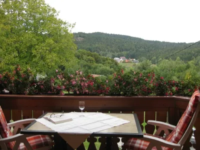 Ferienwohnung für 2 Personen (45 m²) in Dachsberg 1/10