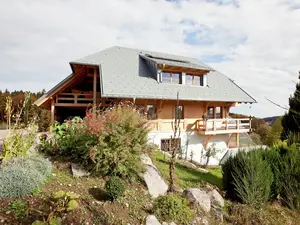 Ferienwohnung für 3 Personen (65 m²) in Dachsberg