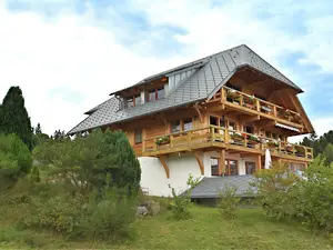 Ferienwohnung für 3 Personen (65 m²) in Dachsberg