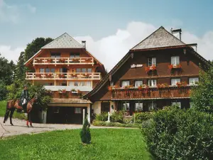 Ferienwohnung für 3 Personen (75 m²) in Dachsberg