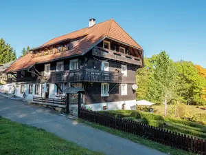 Ferienwohnung für 4 Personen (60 m²) in Dachsberg