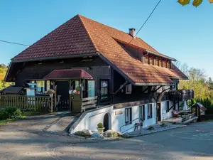 Ferienwohnung für 4 Personen (60 m²) in Dachsberg
