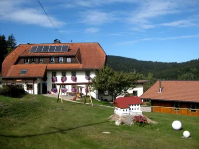 Ferienwohnung für 4 Personen (80 m²) in Dachsberg 1/10