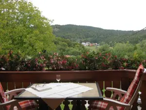 Ferienwohnung für 2 Personen (45 m²) in Dachsberg