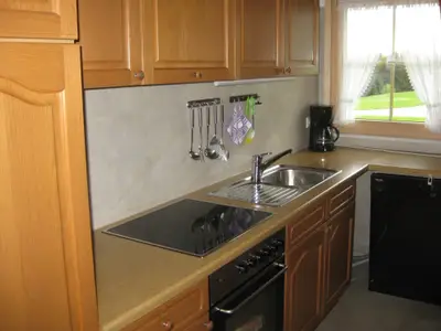 Ferienwohnung für 4 Personen (80 m²) in Dachsberg 7/10