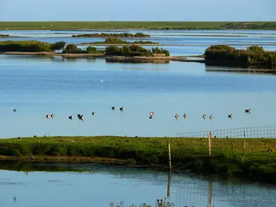 Ferienwohnung für 4 Personen in Dagebüll 9/10