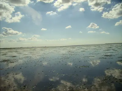 Ferienwohnung für 4 Personen (58 m²) in Dagebüll 3/10