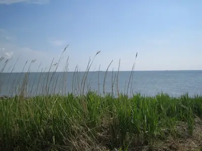 Ferienwohnung für 1 Person (19 m²) in Dagebüll 9/10