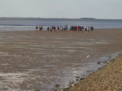Ferienwohnung für 3 Personen (32 m²) in Dagebüll 10/10