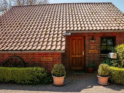 Ferienwohnung für 2 Personen (35 m²) in Dahlenburg 10/10