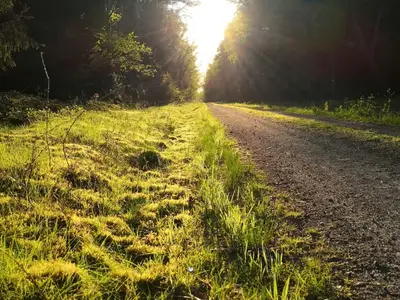 Ferienwohnung für 2 Personen (36 m²) in Dahlenburg 9/10