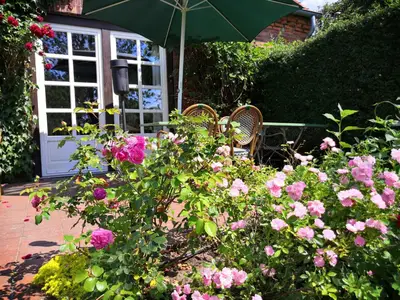 Ferienwohnung für 2 Personen (35 m²) in Dahlenburg 6/10