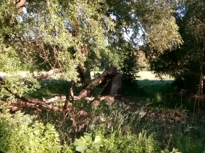 Ferienwohnung für 2 Personen (60 m²) in Dahlwitz-Hoppegarten 5/9