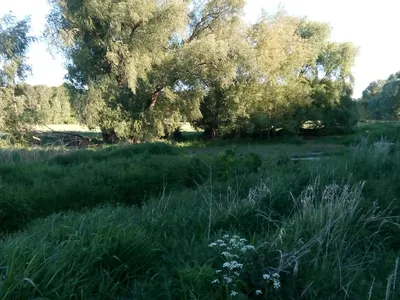 Ferienwohnung für 1 Person (33 m²) in Dahlwitz-Hoppegarten 10/10