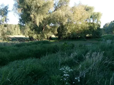 Ferienwohnung für 1 Person (33 m²) in Dahlwitz-Hoppegarten 10/10