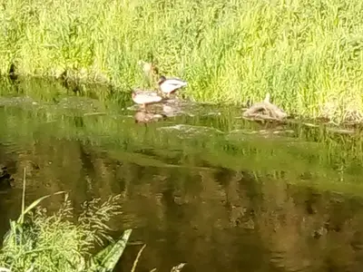 Ferienwohnung für 2 Personen (35 m²) in Dahlwitz-Hoppegarten 10/10