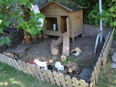 Ferienwohnung für 2 Personen (32 m²) in Dahme 4/10