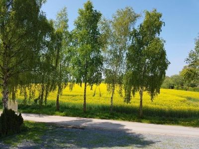 Blick von der Wohnanlage auf das freie Feld