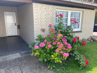 Ferienwohnung für 4 Personen (60 m²) in Dahme 2/10