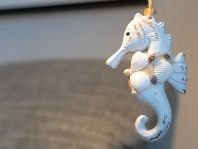 Ferienwohnung für 4 Personen (46 m²) in Dahme 7/10