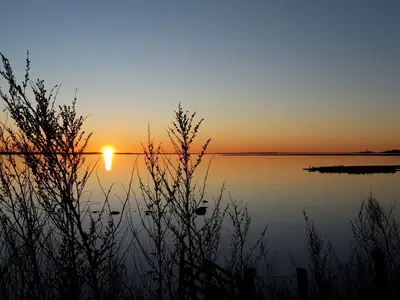 Ferienwohnung für 4 Personen (45 m²) in Dahme 9/10
