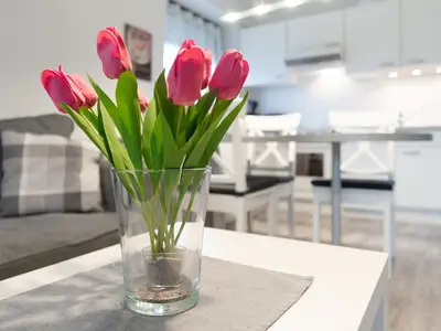 Ferienwohnung für 4 Personen (63 m²) in Dahme 7/10