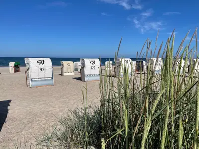 Ferienwohnung für 4 Personen (52 m²) in Dahme 2/10
