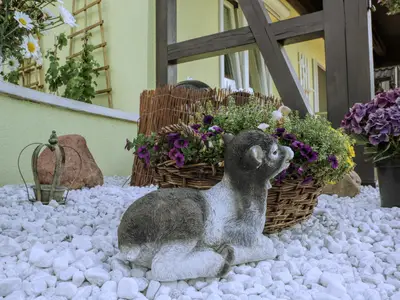 Ferienwohnung für 2 Personen (24 m²) in Dahme 9/10