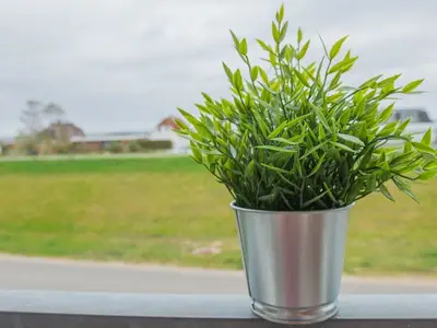 Ferienwohnung für 4 Personen (42 m²) in Dahme 8/10